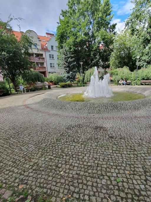 Apartament Parkowy 奥斯特罗达 外观 照片